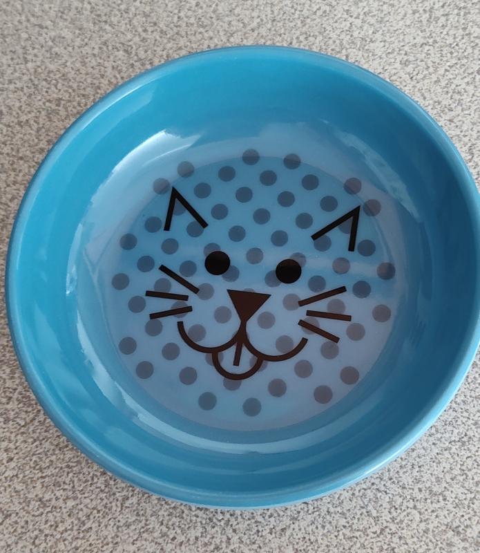 VAN NESS Ecoware Non-Skid Cat Dish, Blue, 8-oz