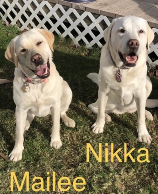 Girls patiently waiting for their Crunchin’ Bone treat.