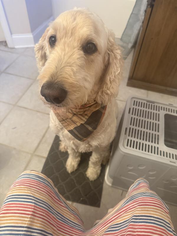 My sweet boy