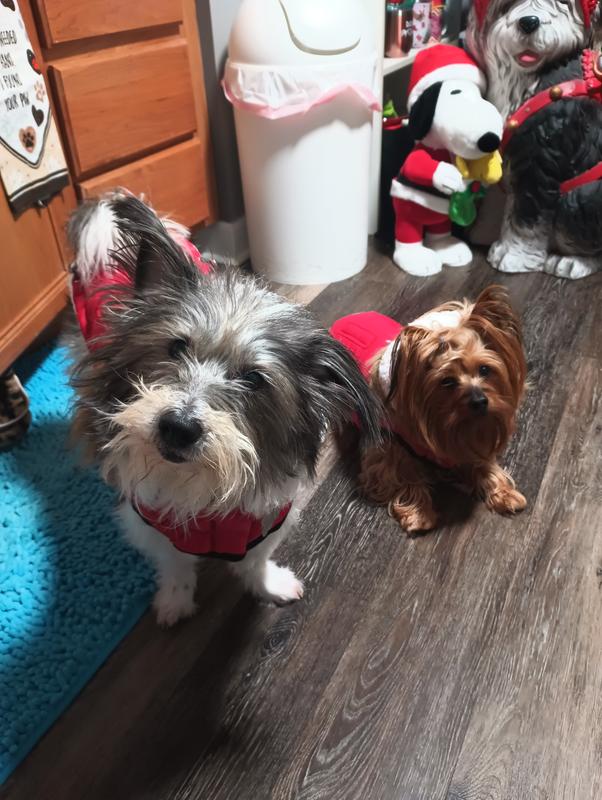 Bil-Jac to the sensitive tummy rescue