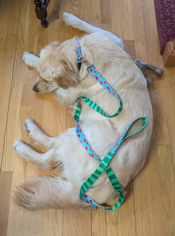 leash with two-sided print