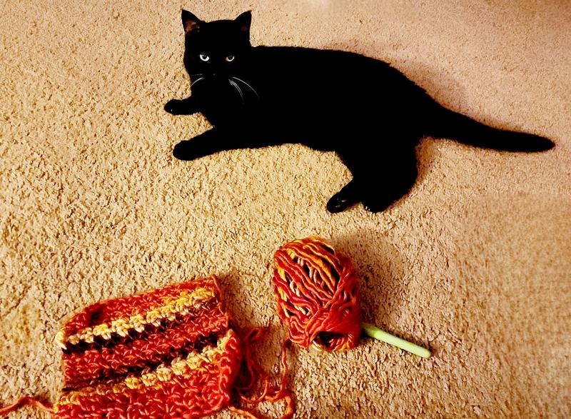 Back to taunting each other! (⁠^⁠.⁠_⁠.⁠^⁠)⁠ﾉ