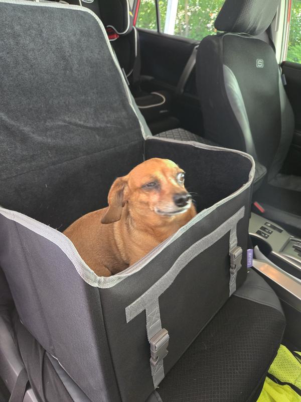 He wanted in before i got it fully set up.