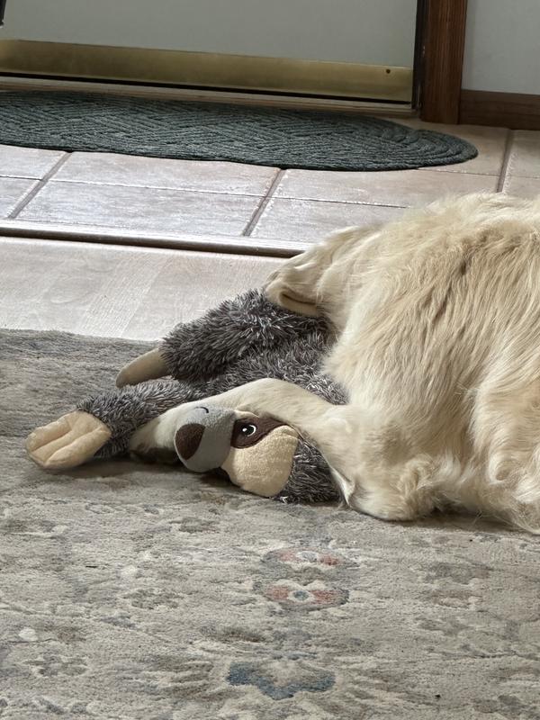 Got my favorite toy with me