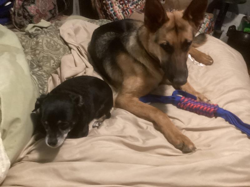 Fun noises they love it