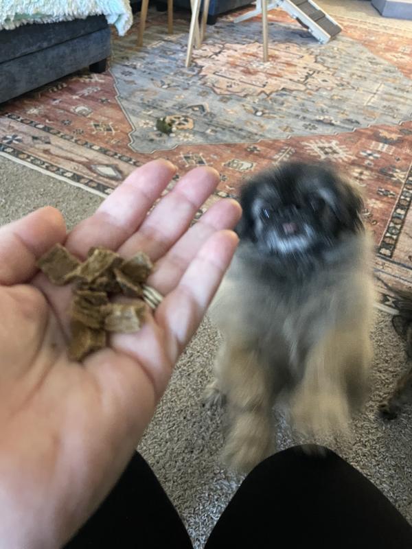 And the one can’t help herself because she gets soo excited.