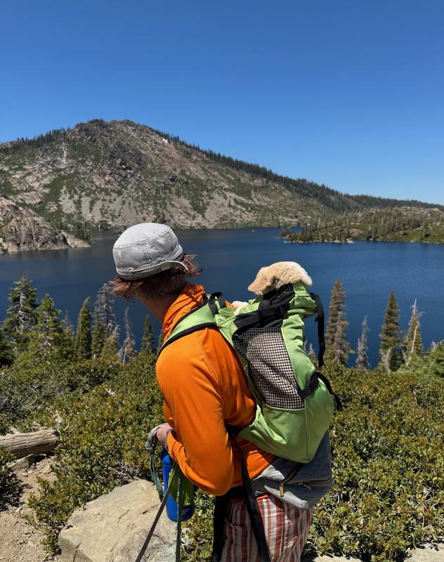 Tobey at Lakes Basin, CA
