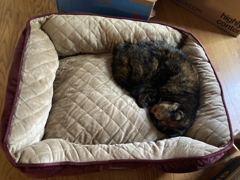 Justice highly approves!