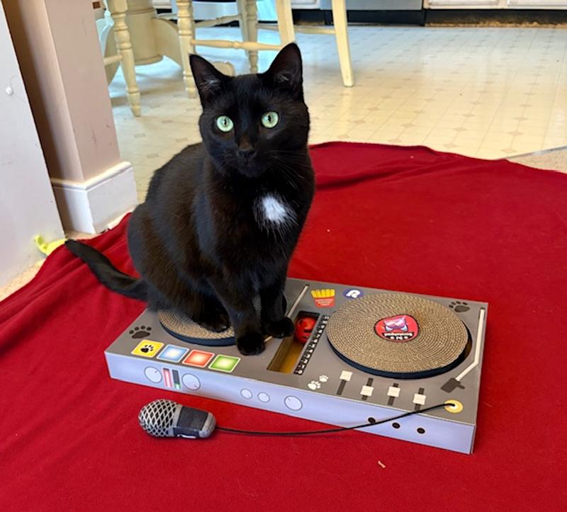 Lucille claiming this toy