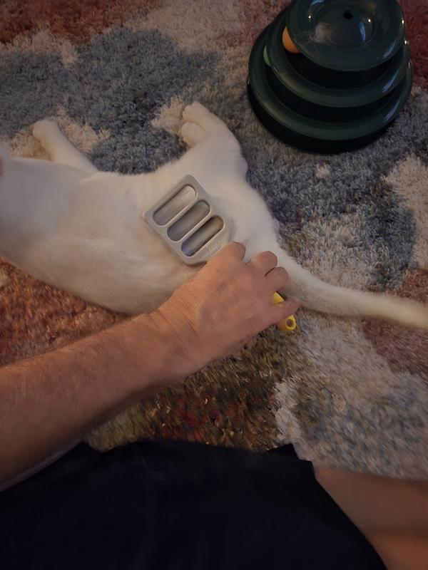 Brushed her on the side while laying down