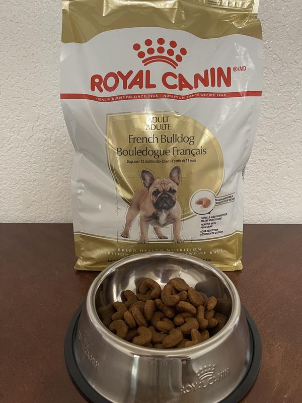 ROYAL CANIN Breed Health Nutrition French Bulldog Puppy Dry Dog Food reviews Chewy