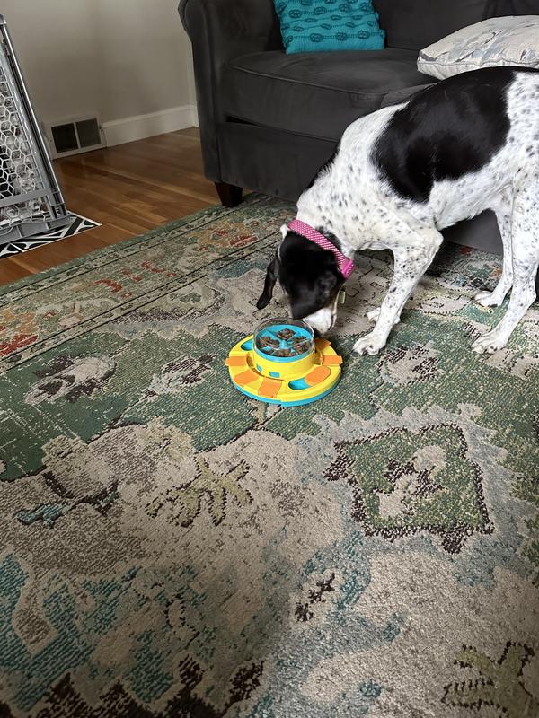 PIGGY POO AND CREW Treat Popper Puzzle Game, Green & Yellow - Chewy.com
