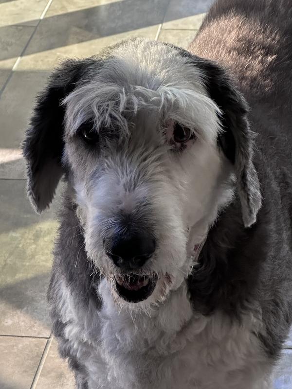 Zoe, looking for more!