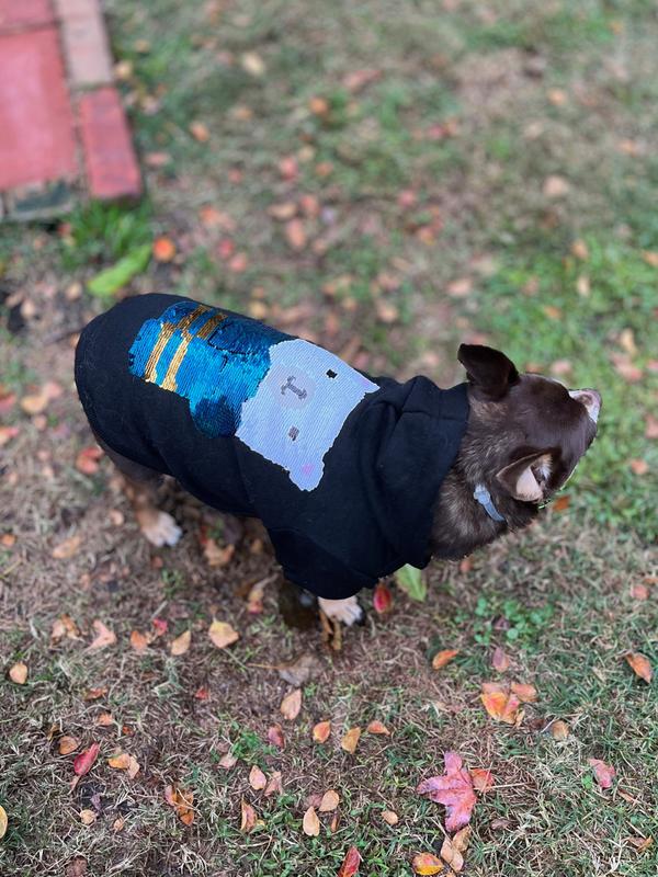 Blue Bear Hood Down 1