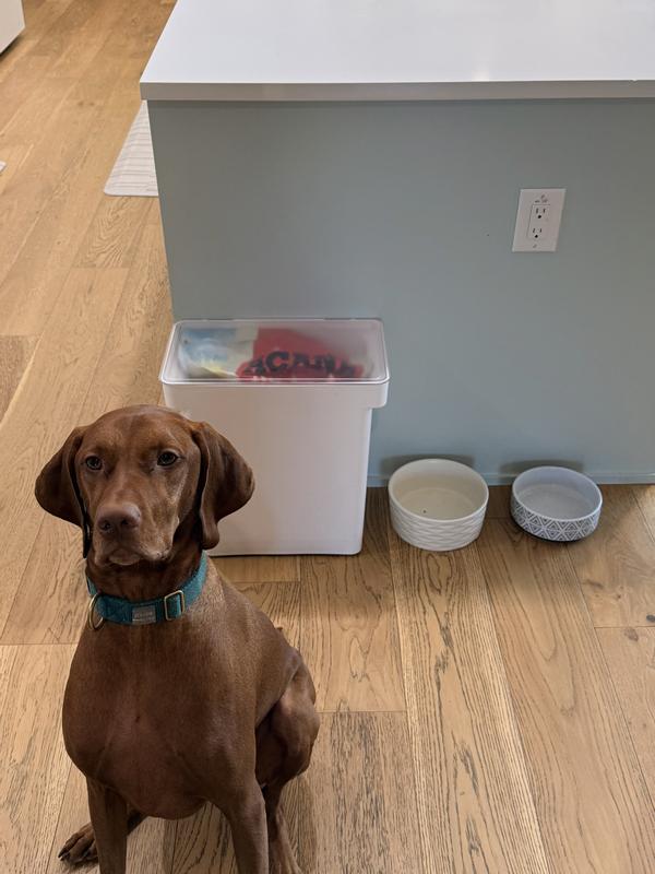 The dog food container