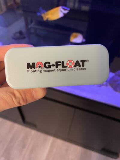 This is the Medium size