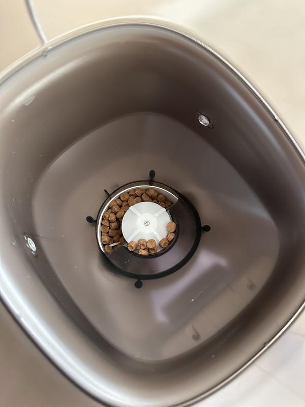 Inside of the kibble container