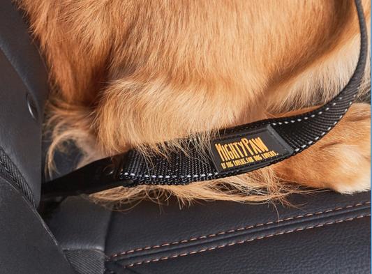 Dog Car Safety Belt  Mighty Paw Dog Products