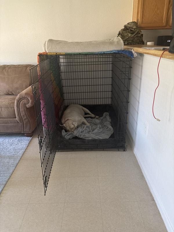 Perfect for X-Large dogs😍😍😍