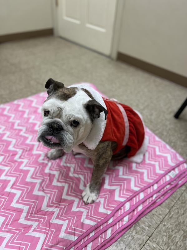 The picky eater agrees with this food