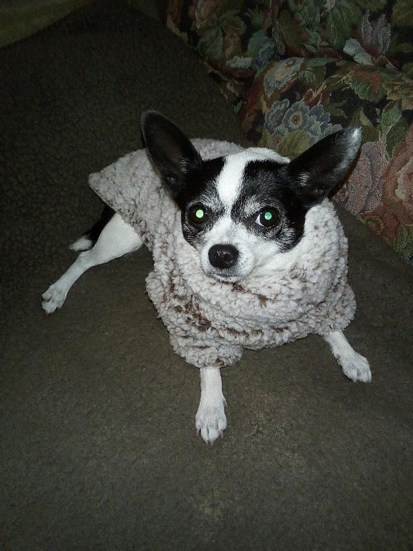 Frisco Medium Weight Double Layer Sherpa Dog Coat with Built in Snood