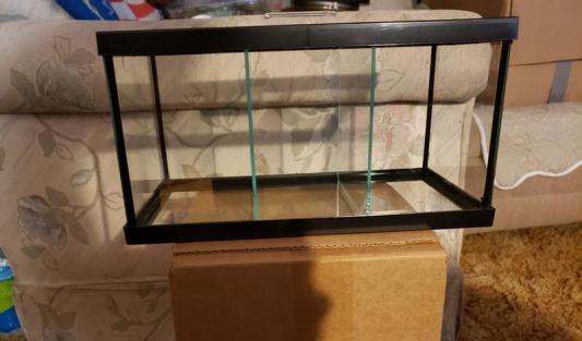 Frisco 3 Betta Aquarium with Divider/Top