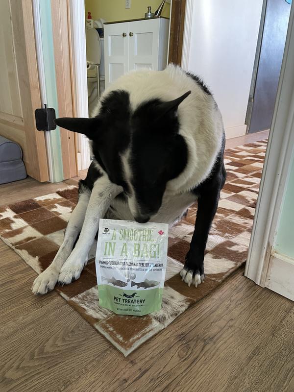 Rees loves his treats!