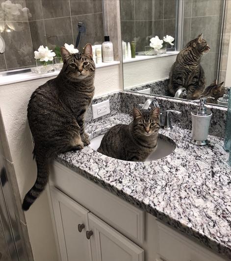We love water
