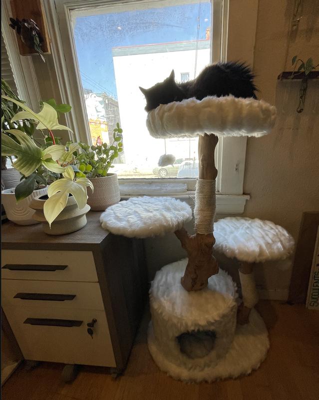 FRISCO Natural Wood Modern Cat Tree with Toy, Ivory, Large