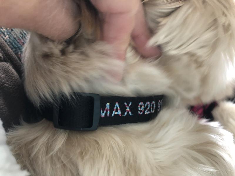 Says above order was blue/large. I ordered small bright pink and received small/ rainbow