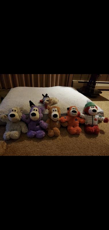 Teddy's babies