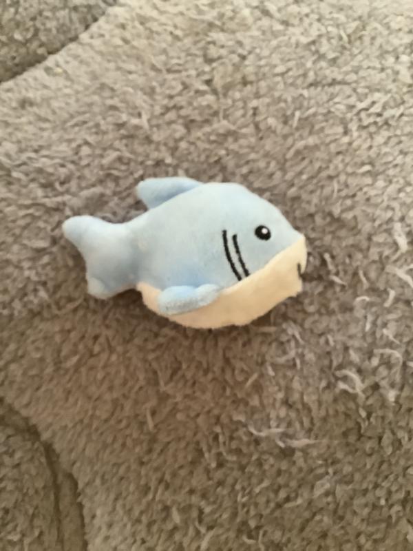 Fishy