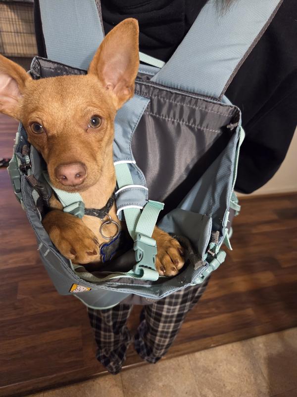 RUFFWEAR Hitch Hiker Backpack Dog Carrier, River Rock Green, Small