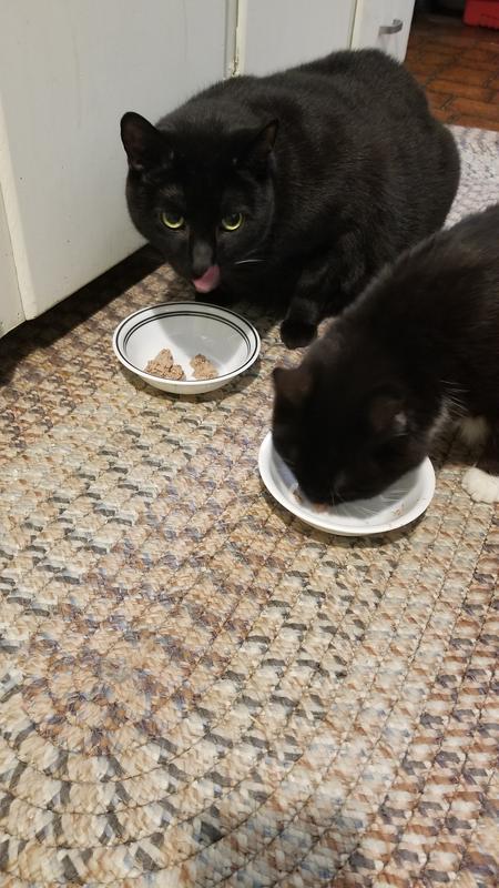 Asked for more when bowl was empty