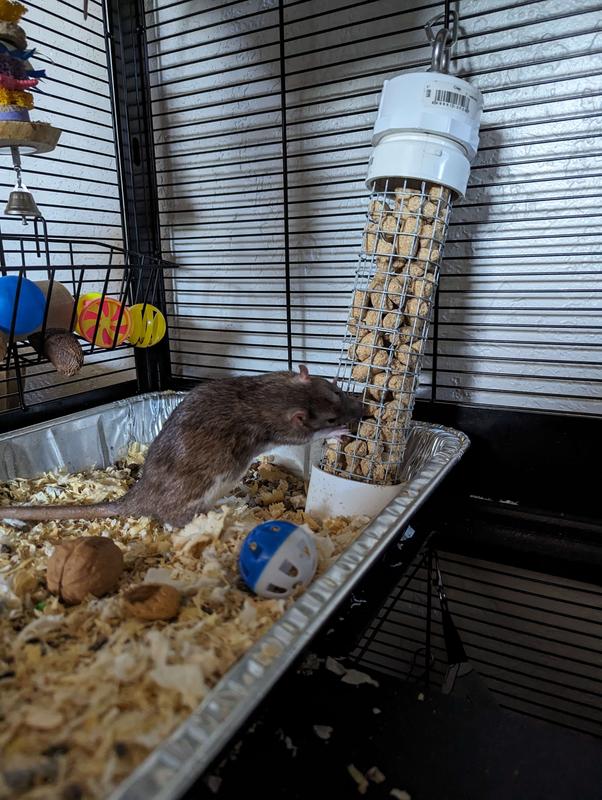 FRISCO Small Animal Cage, Two Story