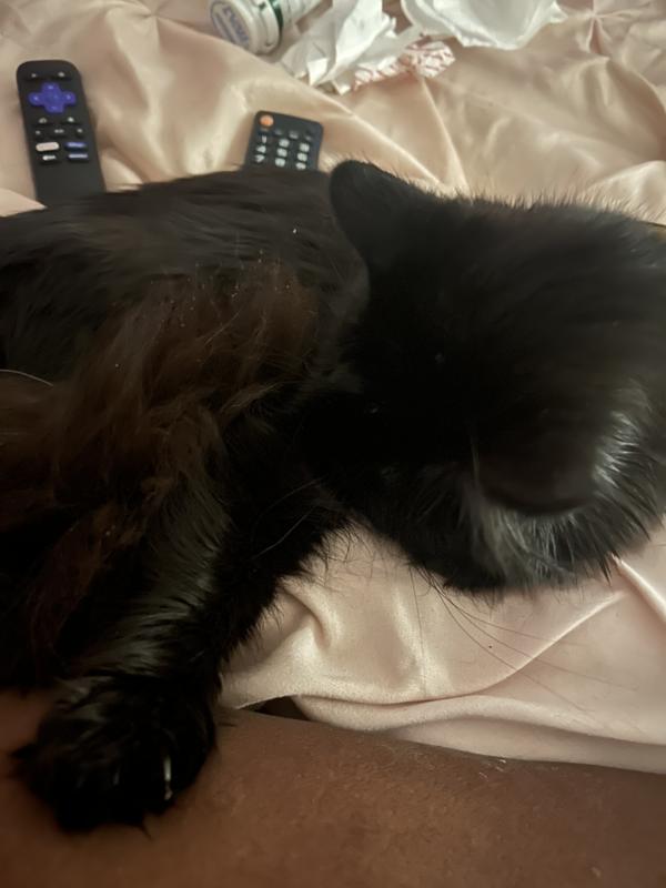 Relaxing in mommie bed