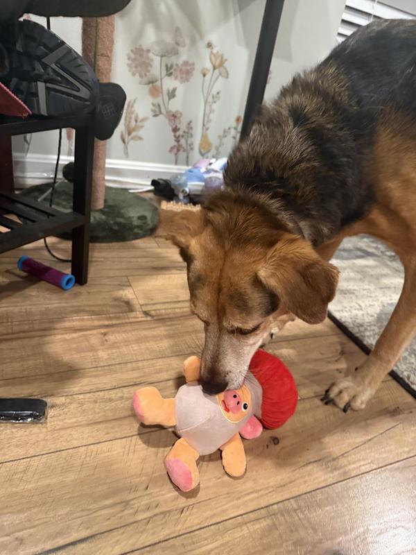 This thing is so cute! Seriously adorable toy