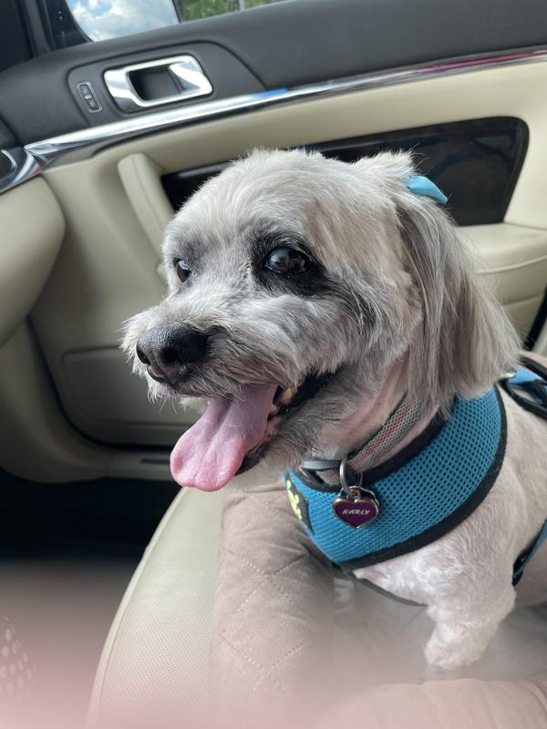 Meds? I thought it was just my food.