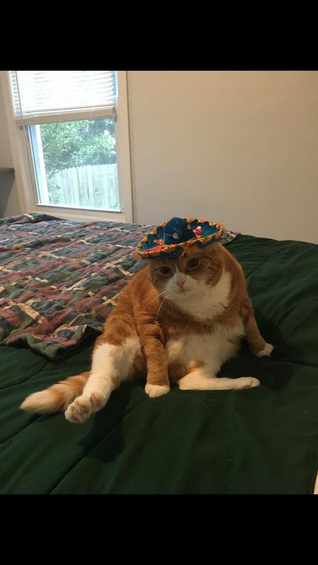 He loved to have treats