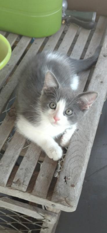 I couldn't help myself.