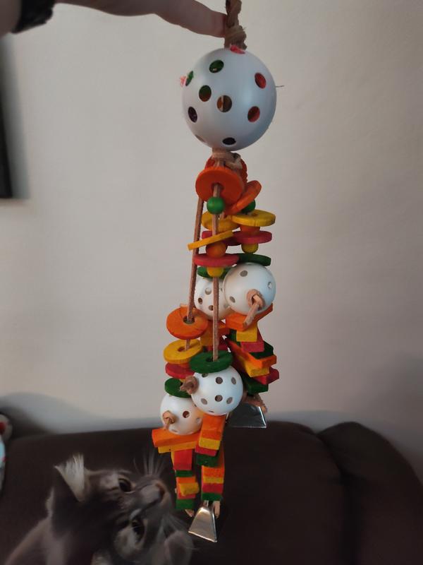 not just interesting for birds