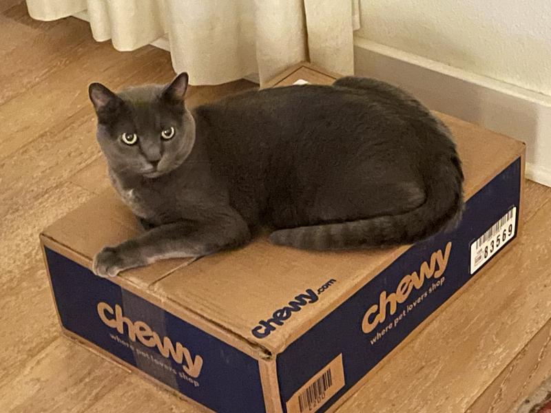 Hey, look what I got!  Can we open it, Mom?  Can we open it now??