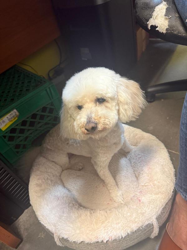 The Queen….Cleopatra!