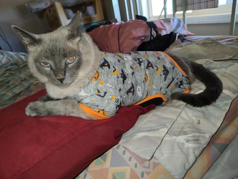 Princess telling me she's not going to move