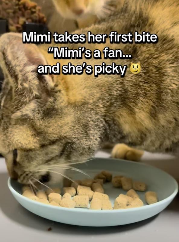 When you open the bag and the aroma hits… yes, I am ready to feast!