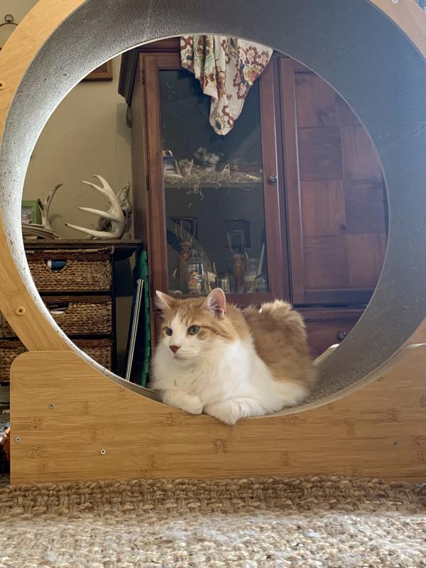 Will be great when it’s adjusted