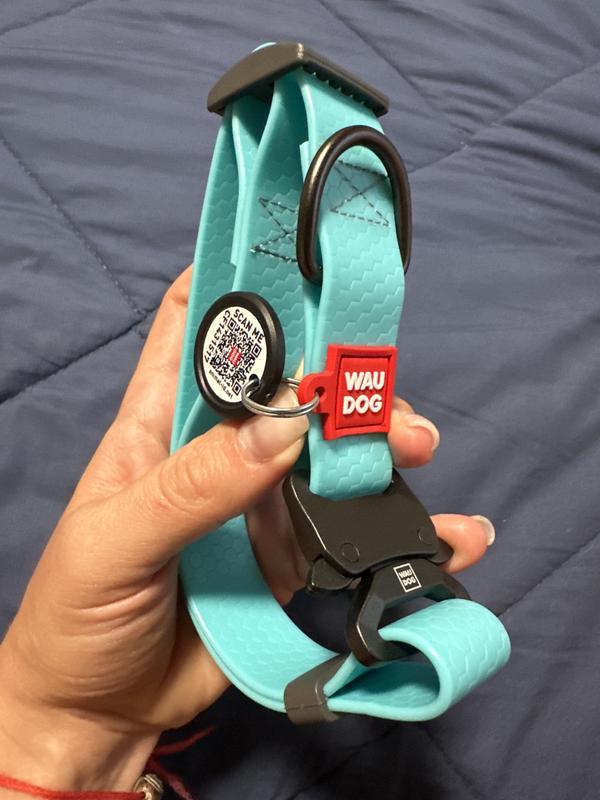 WAUDOG Glows In The Dark Waterproof Buckle Dog Collar, 11 to 19-in