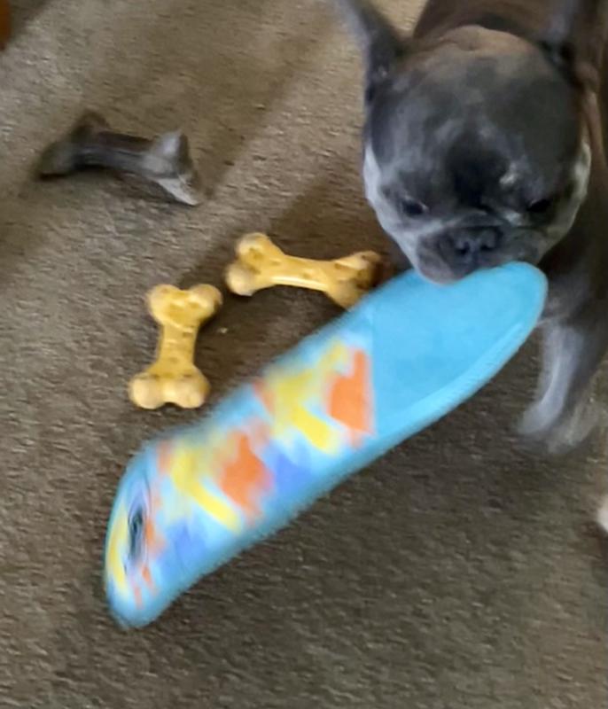 She was so quick the picture is blurry