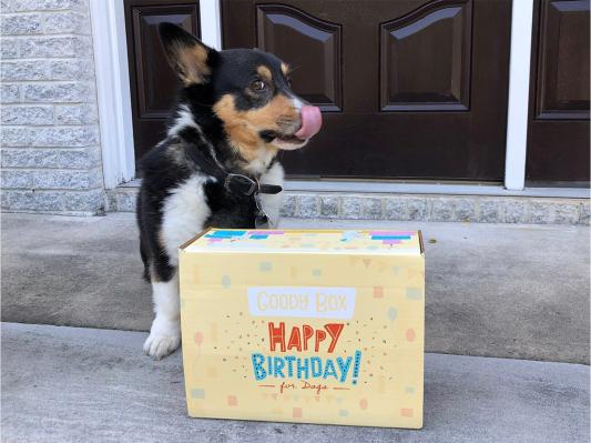 Chewy birthday outlet box