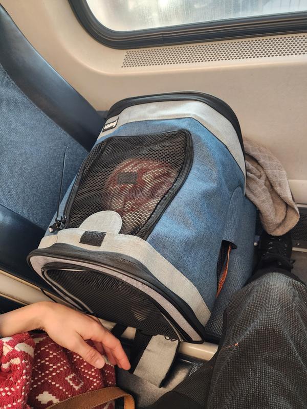 JESPET Dog & Cat Carrier Backpack, Smoke Grey, 17in